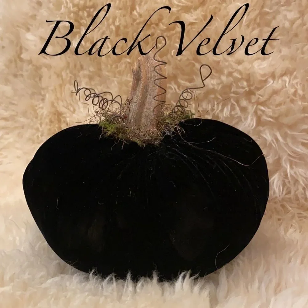 Handmade Fall Holiday Black genuine VELVET Pumpkin Decor